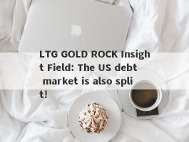 LTG GOLD ROCK Insight Field: The US debt market is also split!